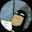 spaceghost's avatar