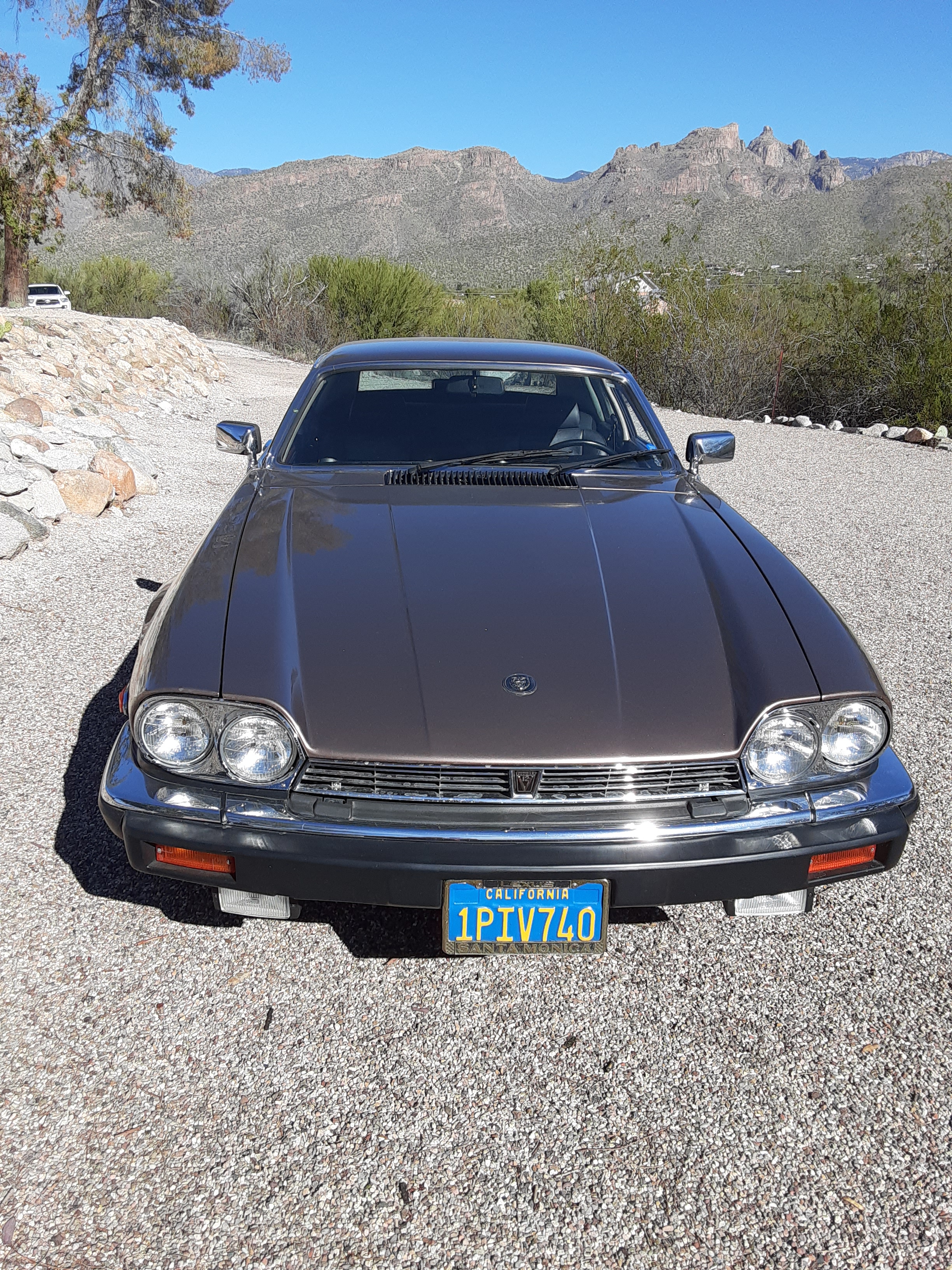 1986 Jaguar XJ-S