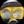 Michael_Tolon
