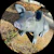 Owner Avatar