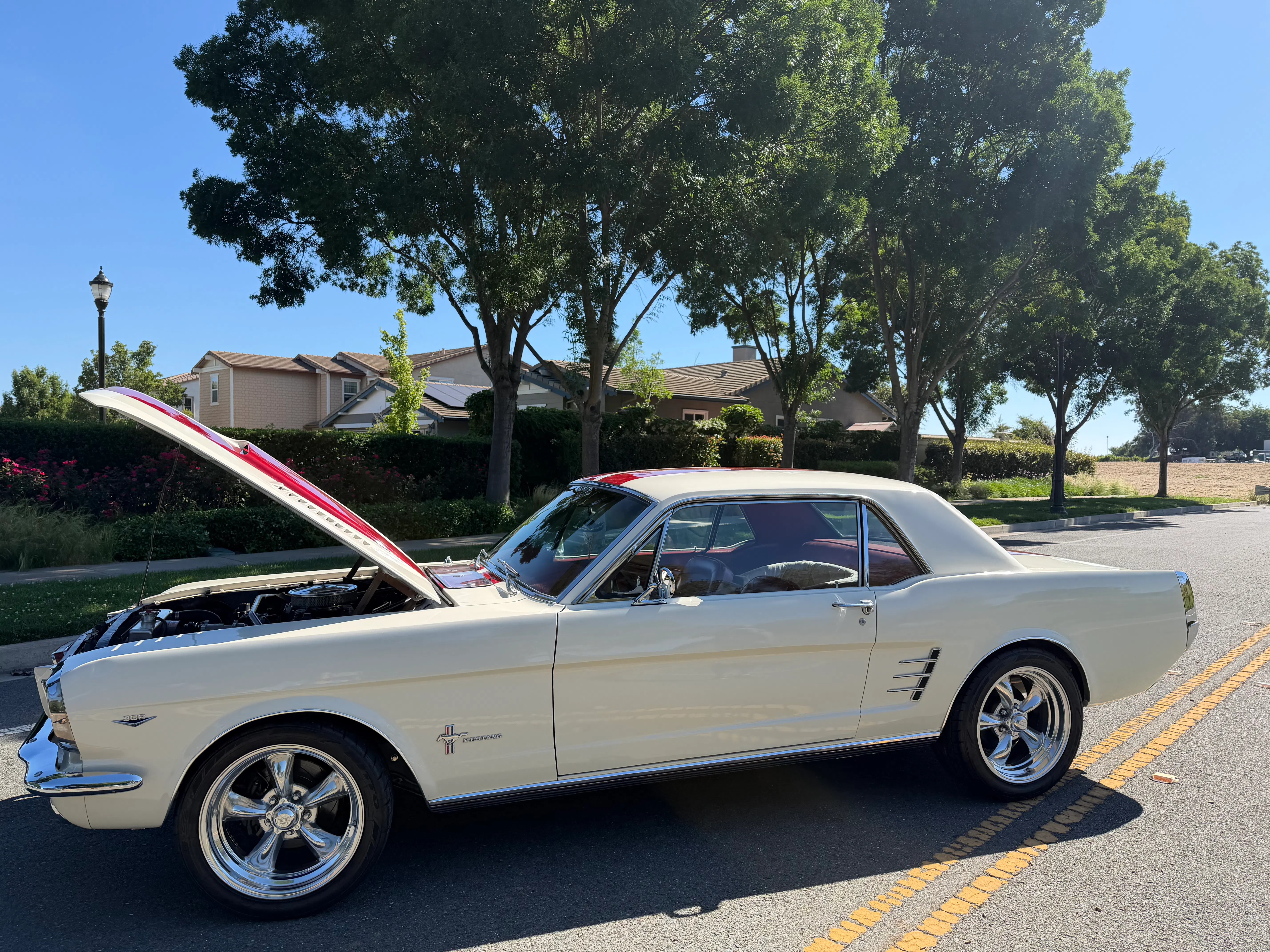 1966 Ford Mustang